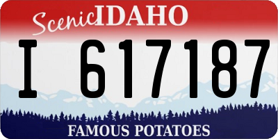 ID license plate I617187