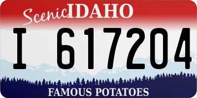 ID license plate I617204