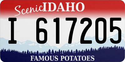 ID license plate I617205