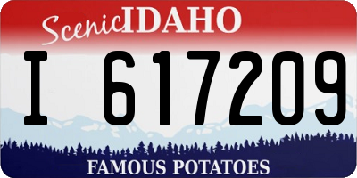 ID license plate I617209