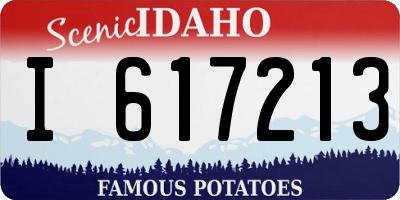 ID license plate I617213