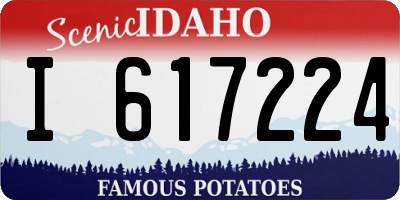 ID license plate I617224