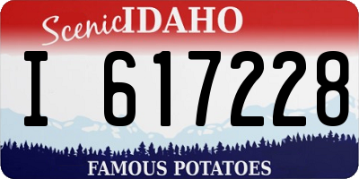 ID license plate I617228
