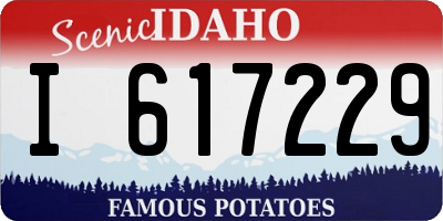 ID license plate I617229
