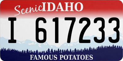 ID license plate I617233