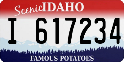 ID license plate I617234