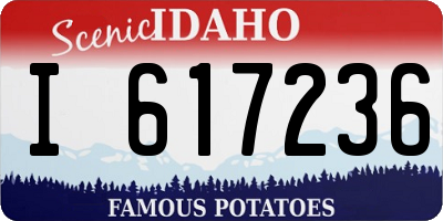 ID license plate I617236