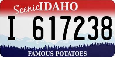 ID license plate I617238
