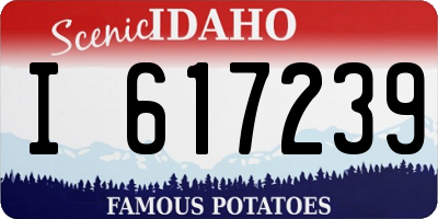 ID license plate I617239