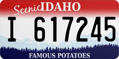 ID license plate I617245