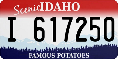 ID license plate I617250