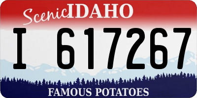 ID license plate I617267