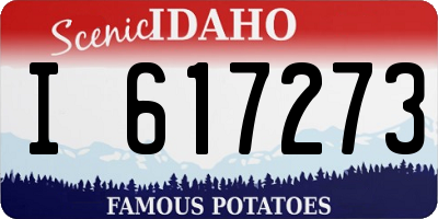 ID license plate I617273