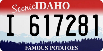 ID license plate I617281