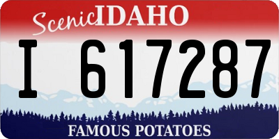 ID license plate I617287
