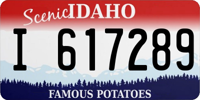 ID license plate I617289