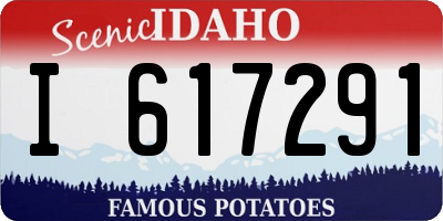 ID license plate I617291