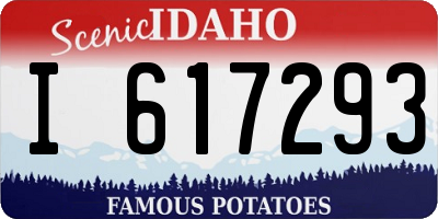 ID license plate I617293