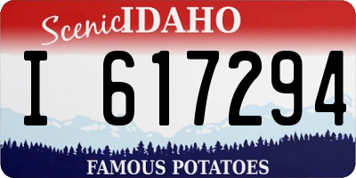ID license plate I617294