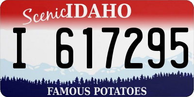 ID license plate I617295