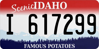 ID license plate I617299