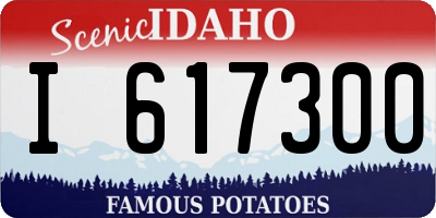ID license plate I617300