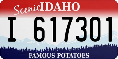 ID license plate I617301