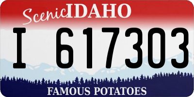 ID license plate I617303