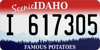 ID license plate I617305
