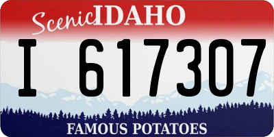 ID license plate I617307