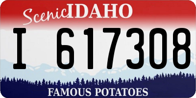 ID license plate I617308