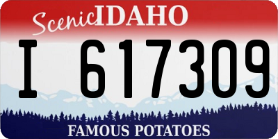 ID license plate I617309