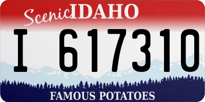 ID license plate I617310