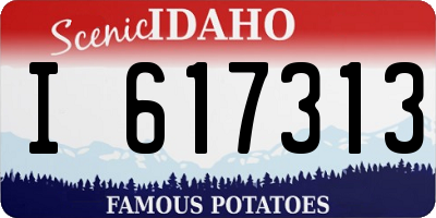 ID license plate I617313