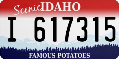 ID license plate I617315