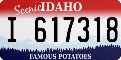 ID license plate I617318