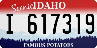 ID license plate I617319