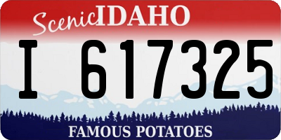 ID license plate I617325