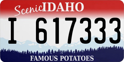 ID license plate I617333