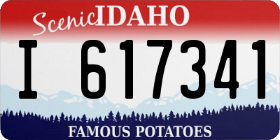 ID license plate I617341