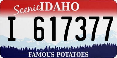 ID license plate I617377