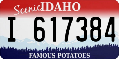 ID license plate I617384