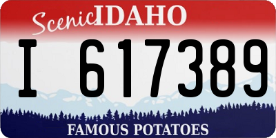 ID license plate I617389