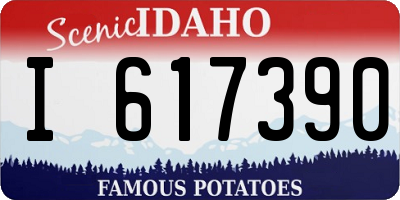 ID license plate I617390