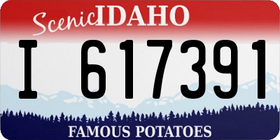 ID license plate I617391