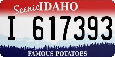 ID license plate I617393