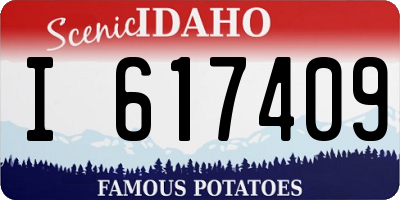 ID license plate I617409