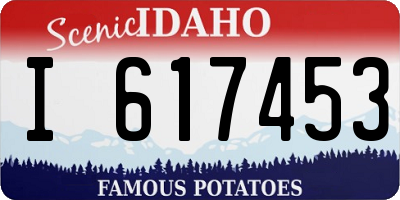 ID license plate I617453