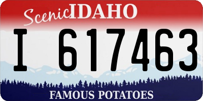 ID license plate I617463