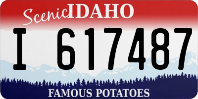ID license plate I617487